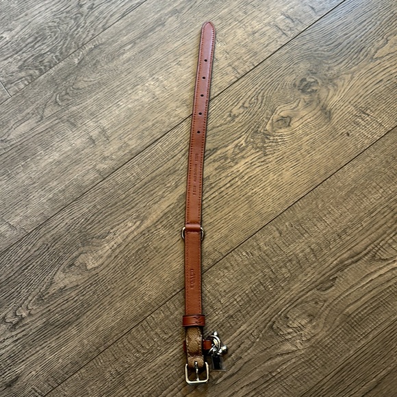 Coach dog collar. Small. - Picture 4 of 4
